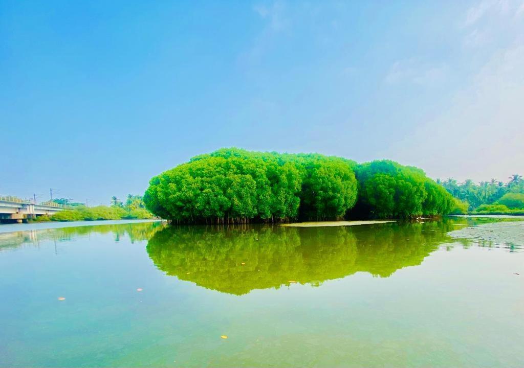 Green Island Homestay Riverside Calicut Exterior foto