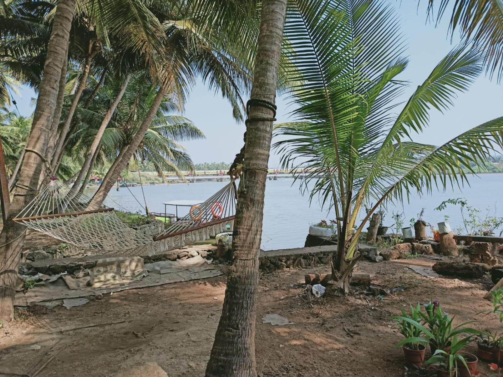 Green Island Homestay Riverside Calicut Exterior foto